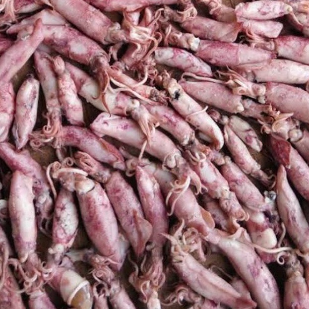 

CCWG525 D2289 SayurHD Cumi Asin 1gr