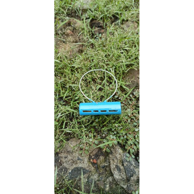 SAWANGAN KALUNG LUBANG 4 HOTANG MERPATI