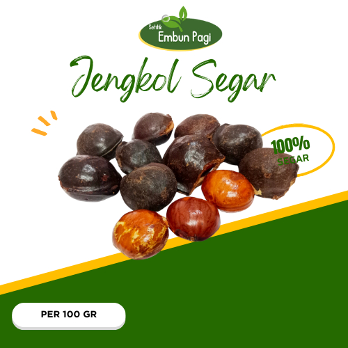 

Jengkol Segar 100 gr
