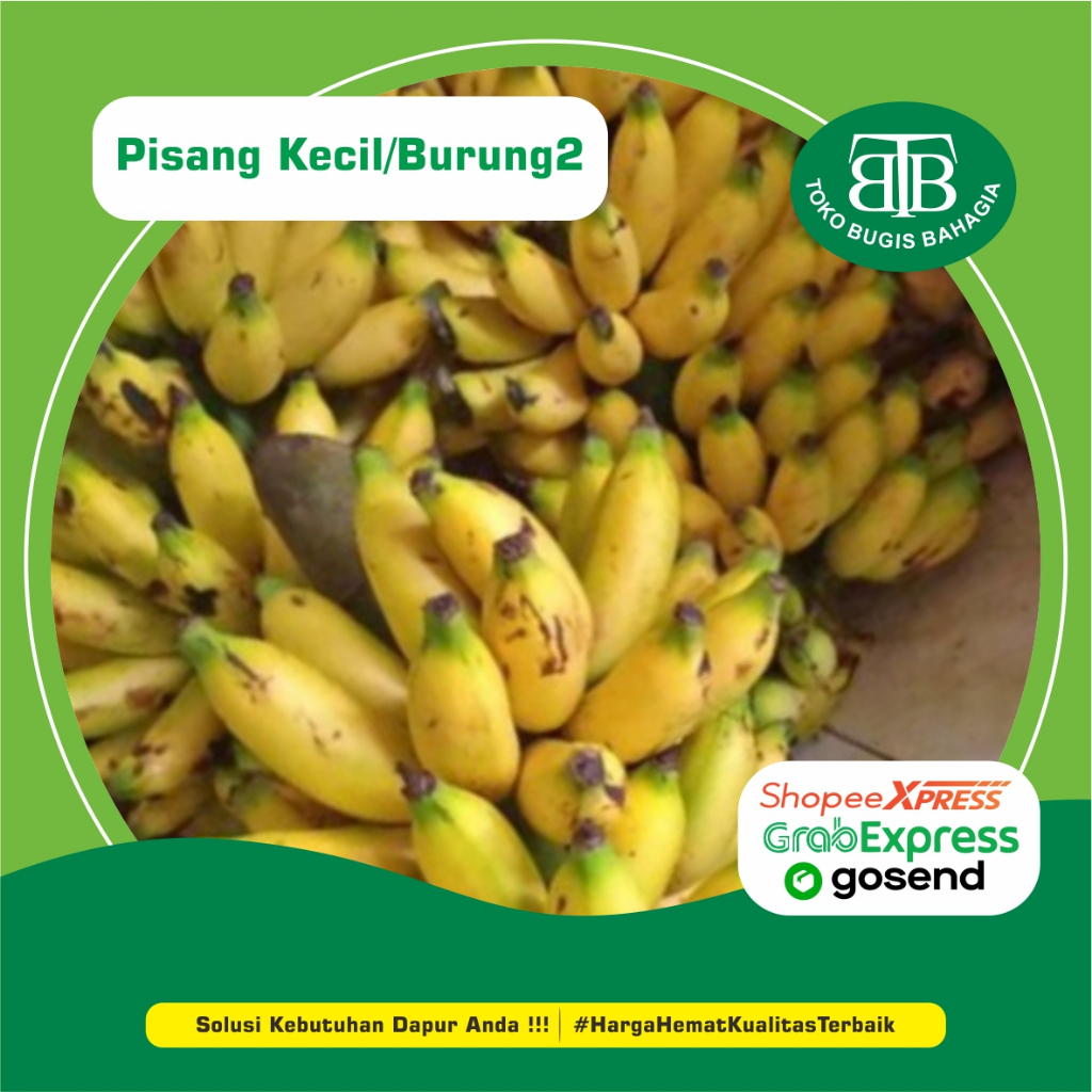 

Pisang Kecil/Marlin, Murah Makassar