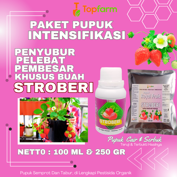 Pupuk Stroberi Berbuah Lebat / Pupuk Stroberi Biar Berbuah / Pupuk Pembesar Buah Stroberi / Pupuk Or