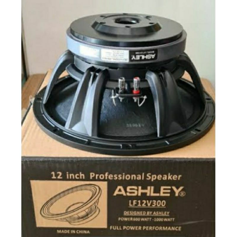 spiker ashley12v300