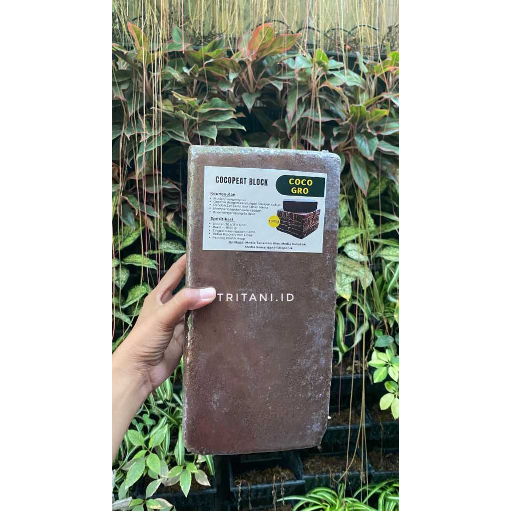 cocopeat block coco gro media tanam cocopeat