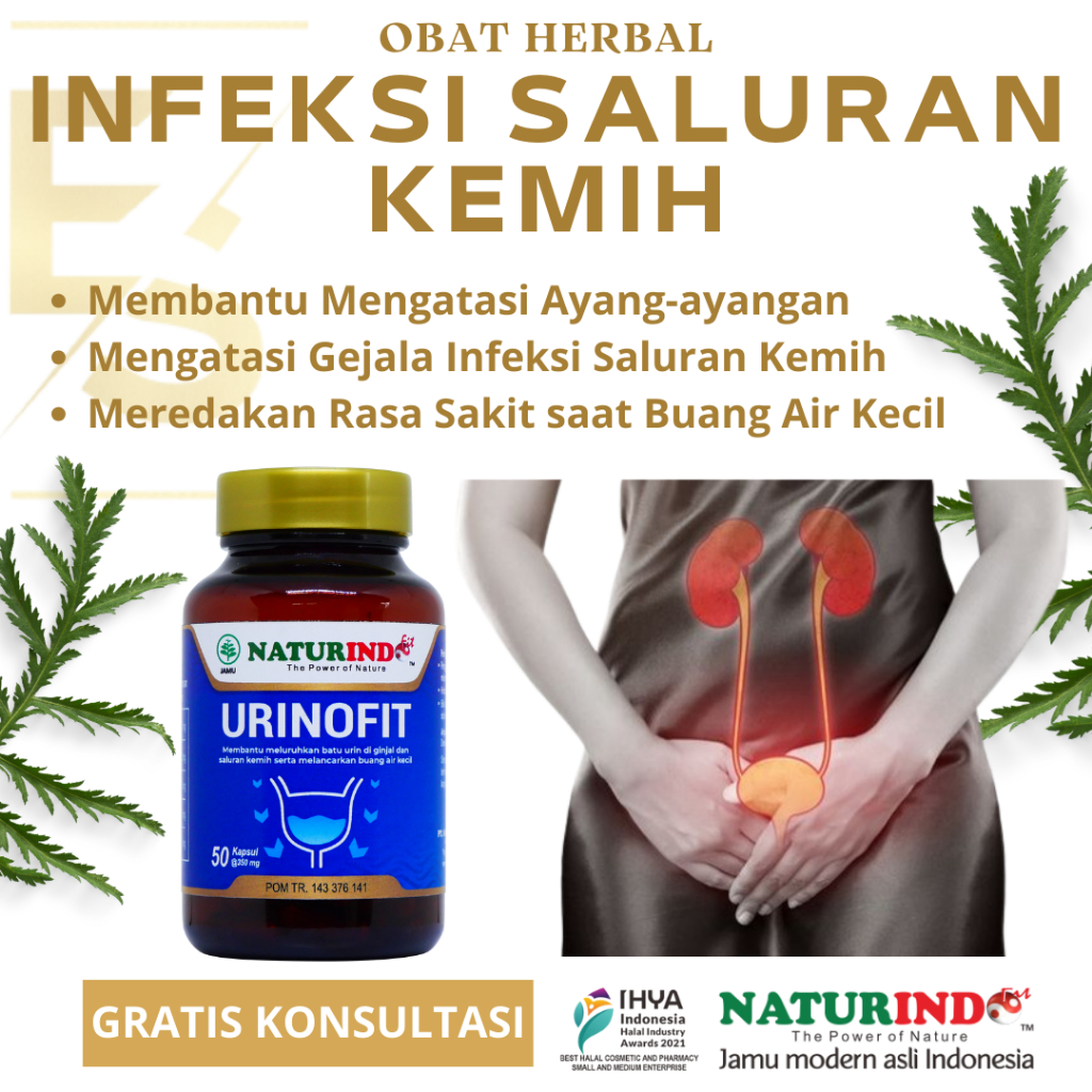 obat herbal isk mengobati inpeksi infeksi saluran kandung kemih kencing nyeri saat buang air kecil s