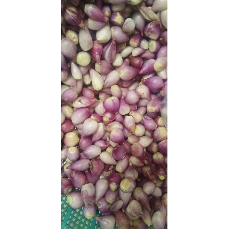 

Bawang Merah Brebes Kupas 1 Kilo Fresh.