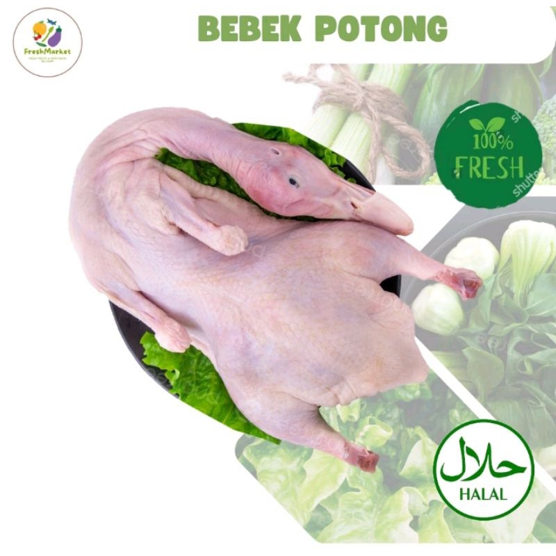 

INSTAN BEBEK POTONG 1 Ekor