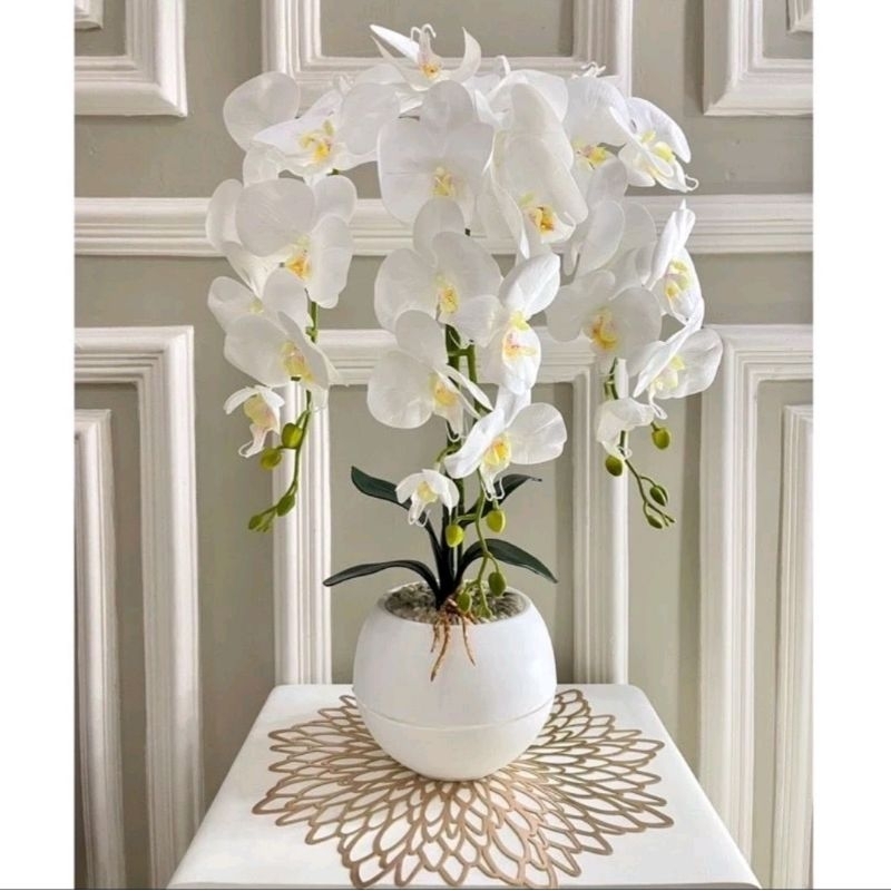 Anggrek LATEX PREMIUM JUMBO pot bola 3tangkai