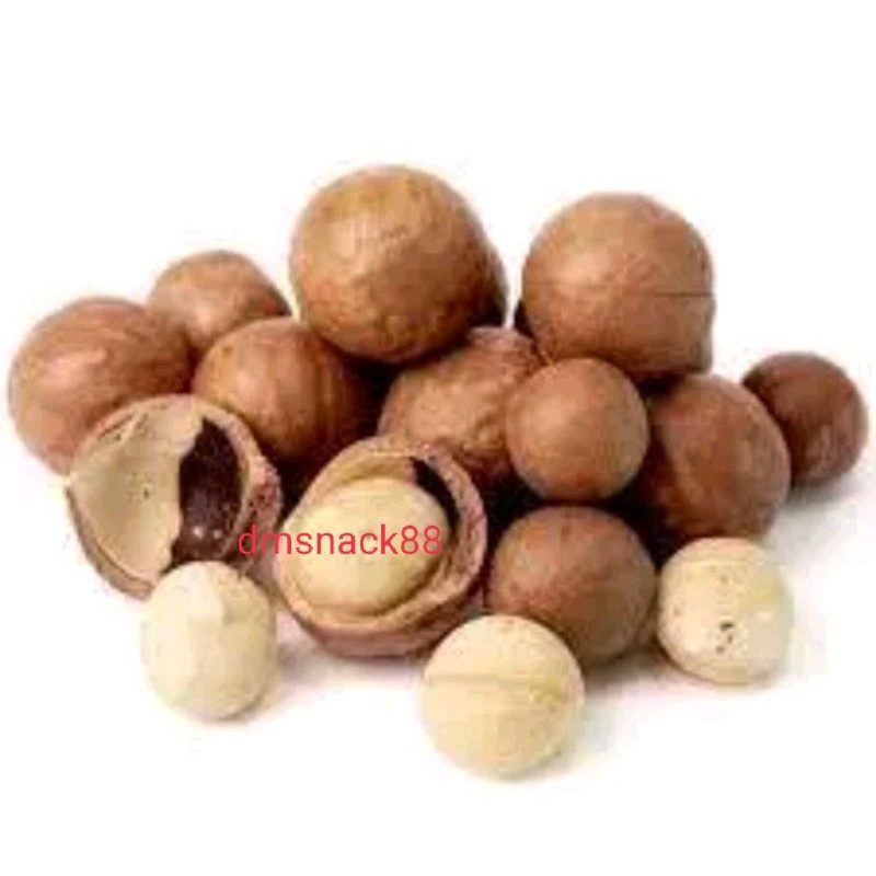 

Macadamia original gurih / Macadamia nuts butter milk roasted / free alat pembuka (500gram)