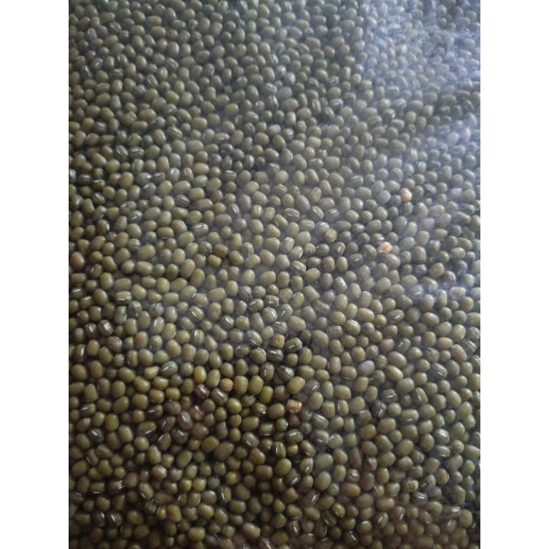 

KACANG HIJAU OLAHAN BUBUR KACANG IJO ATU BISA BUAT TOGE