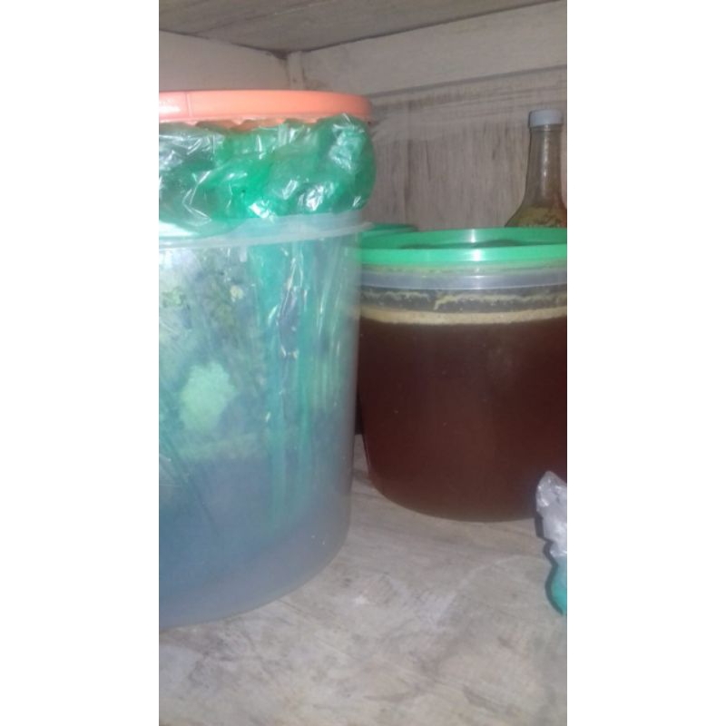 

madu asli kebu / madu tawon