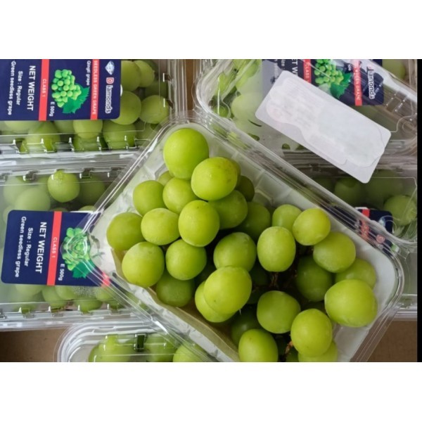 

Buah Anggur Shine Muscat 300gr, Ready Stock Delivery Jogja