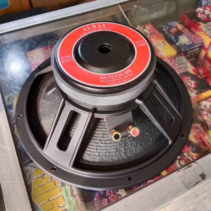 AX-12330 M8 Speaker Audax 12inch 12 inch FR Fullrange AX12330