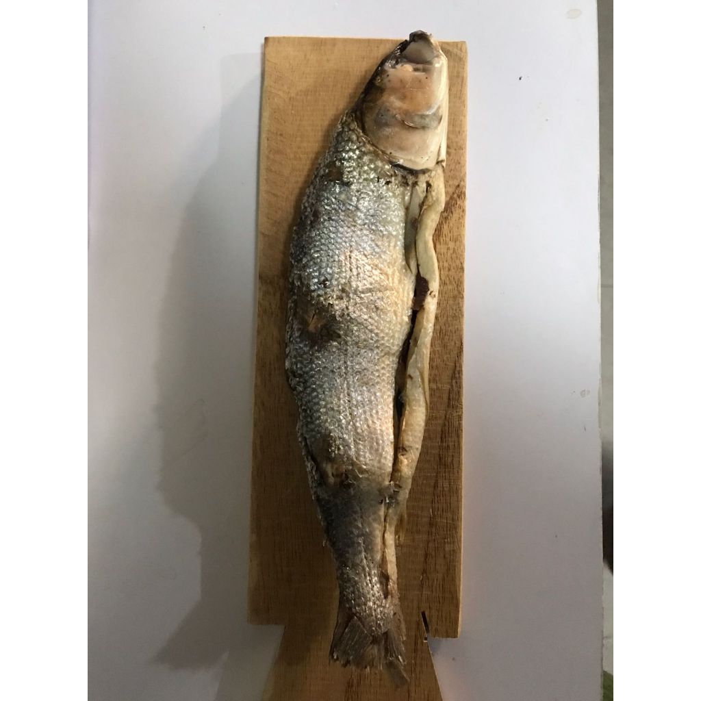 

BANDENG PRESTO PER EKOR