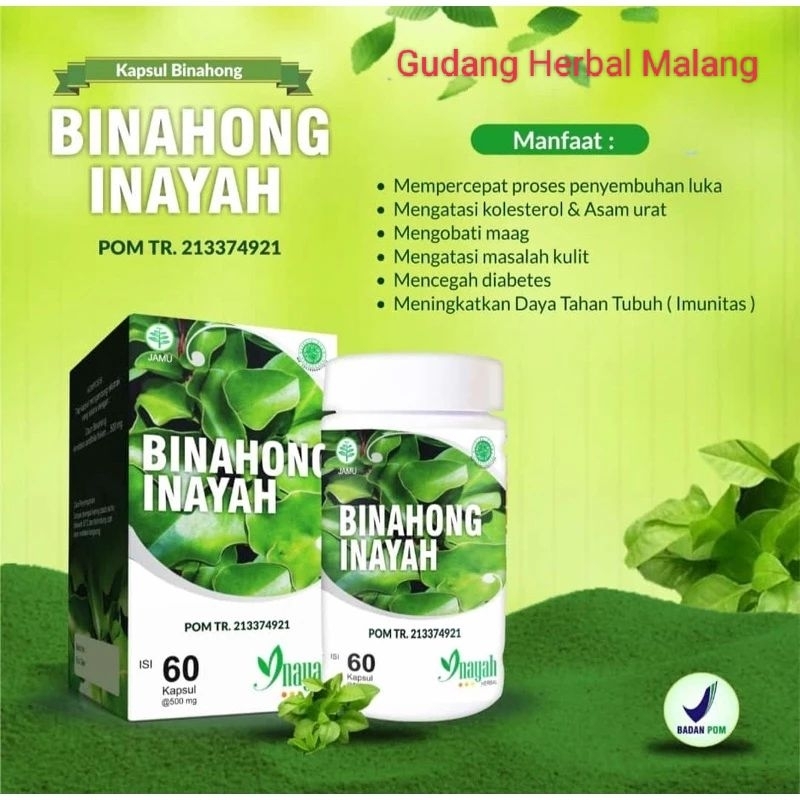 Binahong Inayah - Kapsul Binahong - Daun Binahong