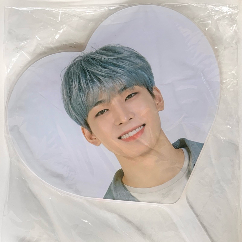[BOOKED] image picket seventeen caratland 2020 wonwoo | impick uchiwa