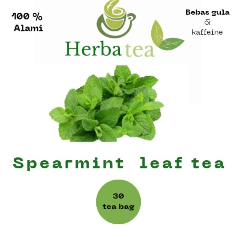 

spearmint leaf tea / teh herbal spearmint 50 gram & 30 tea bag