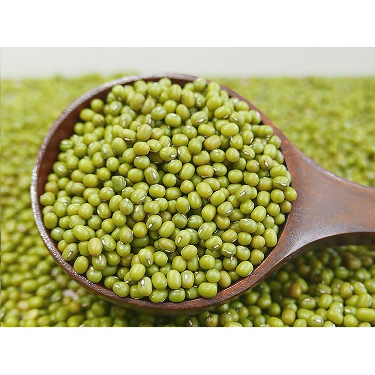 

Kacang Ijo 250 Gram (ECR) / kacang hijau / Kacang PADI