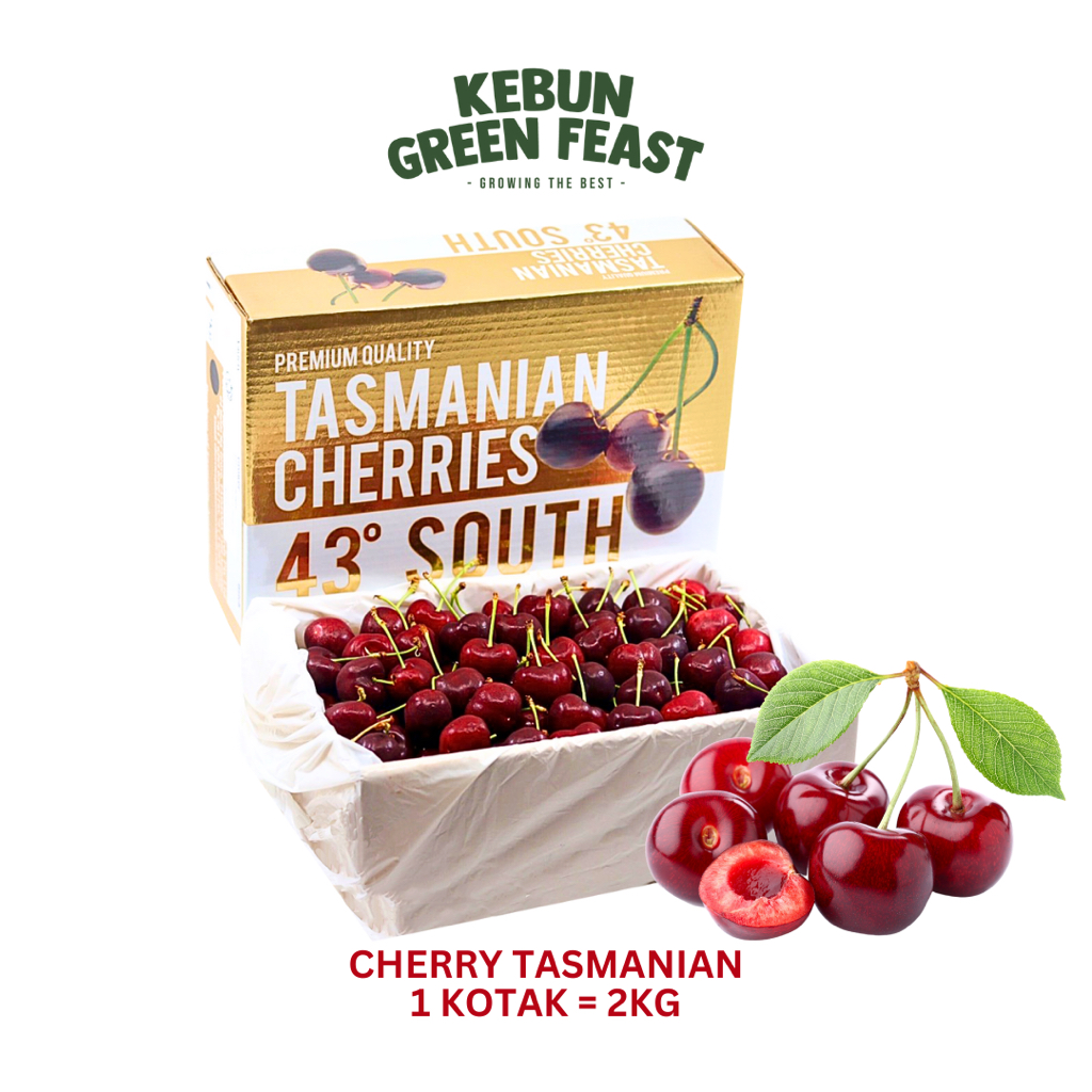 

Buah Cherry Tasmania Premium - Buah Import -Fresh Fruit