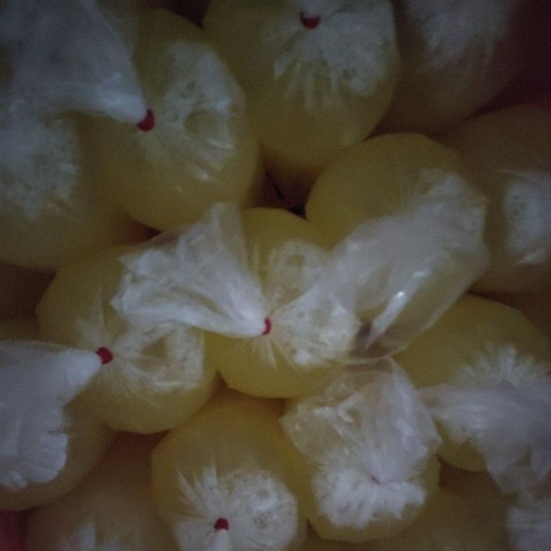 

putih telur fresh dan beku 1kg