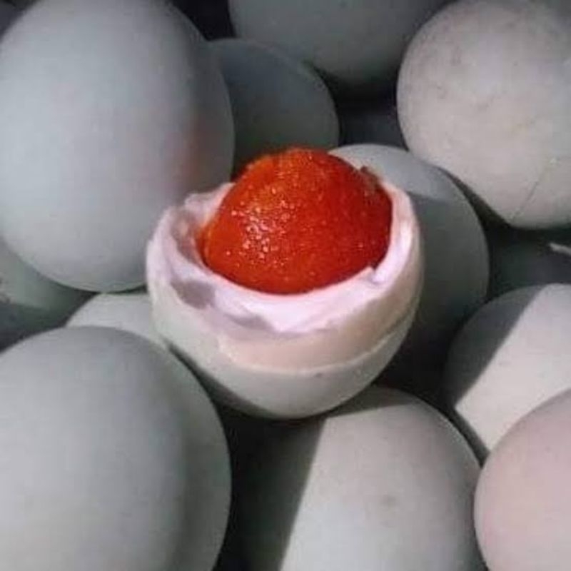 

Telur Asin Matang Asli Masir harga perbutir