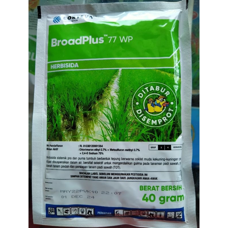 broadplus