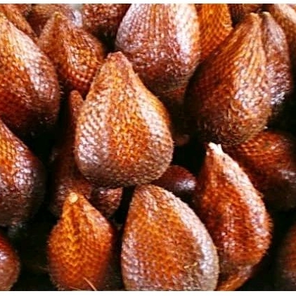 

SALAK