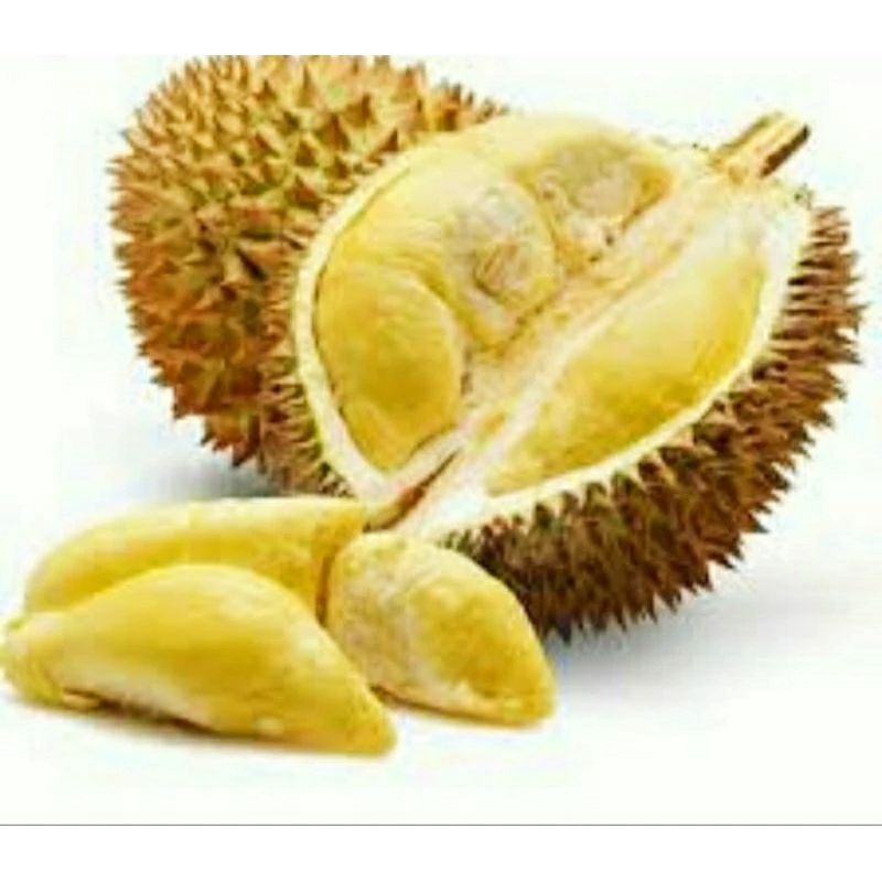 

DURIAN MONTONG MEDAN // DURIAN MONTONG MEDAN 500GRAM//