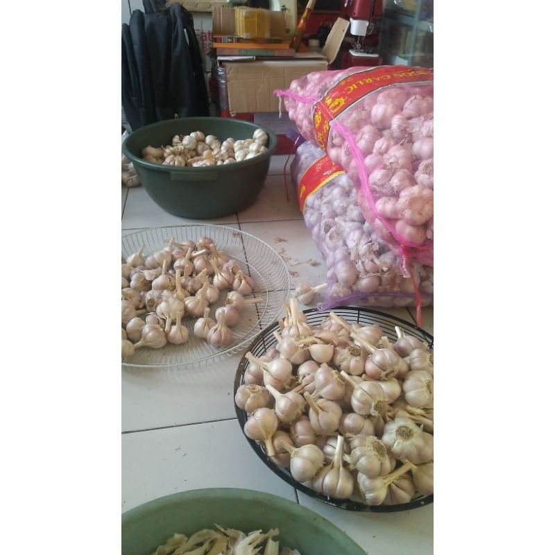 

bawang putih