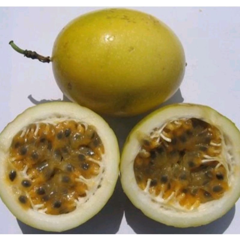

BUAH MARKISA MATANG SEGAR PER 1 KG super beaar dan segar
