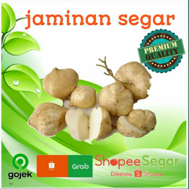 

BENGKOANG RUJAK 500g