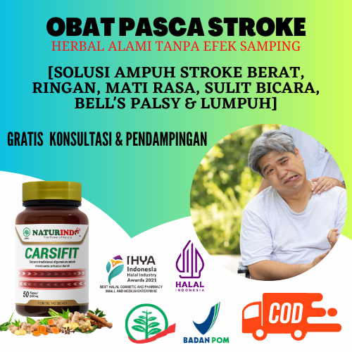 Obat Herbal Stroke Struk Stroke Ringan Berat Lumpuh Menahun Carsifit Naturindo
