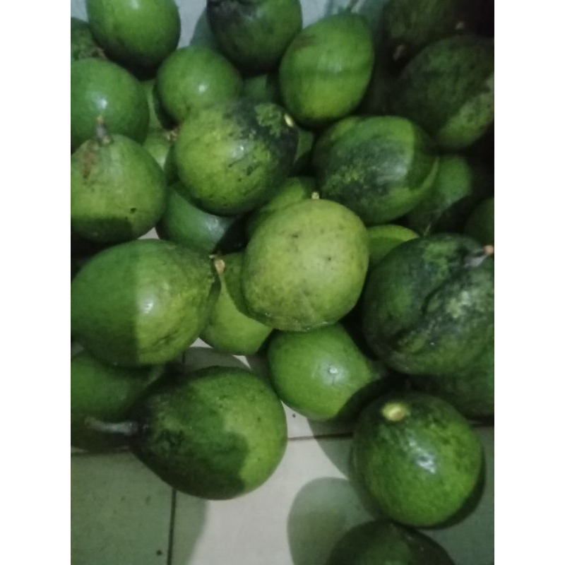 

Buah Alpukat 1 kg