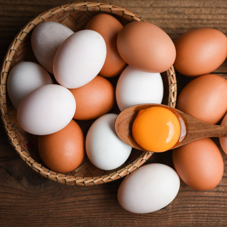 

Telur Ayam Kampung Omega 3 Orange Yolk Fresh Chicken Egg