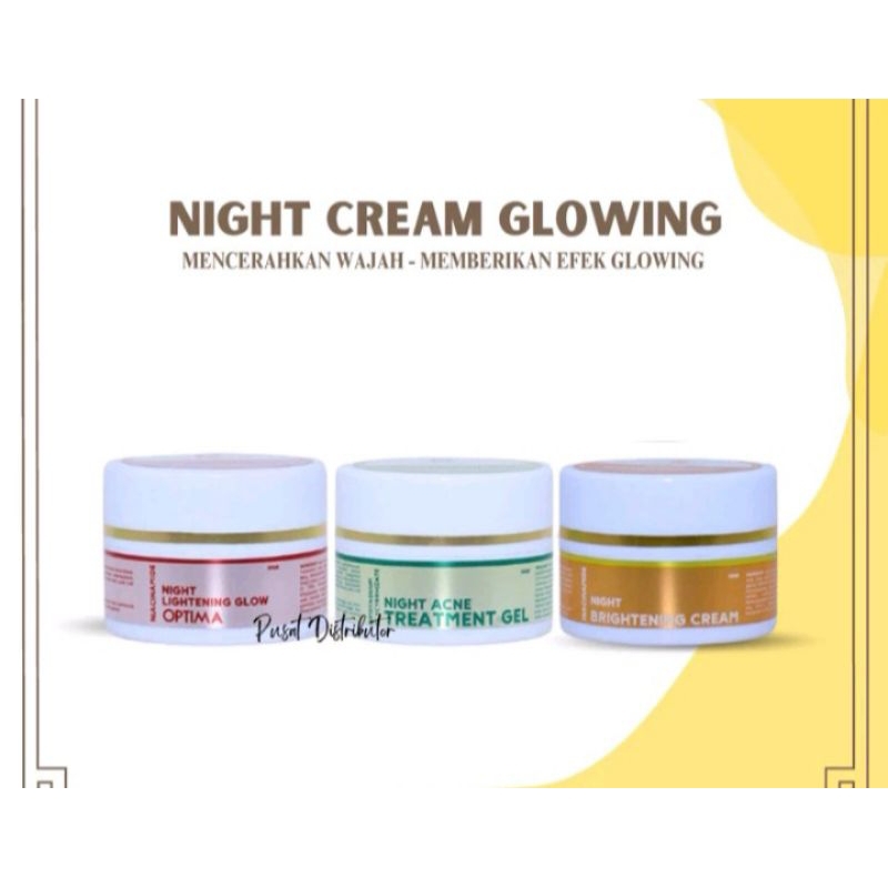 Shineskin Night Whitening Glowing | Cream Malam Shineskin