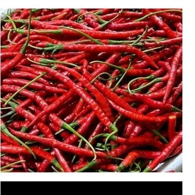 

Cabai kriting merah 250grm