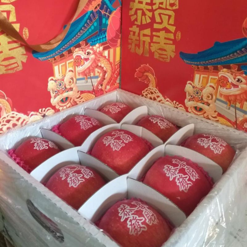 

HAMPERS BUAH APEL FUJI PREMIUM GIFT BOX IMLEK