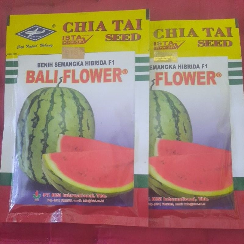 Benih Semangka Bali Flower Segar.