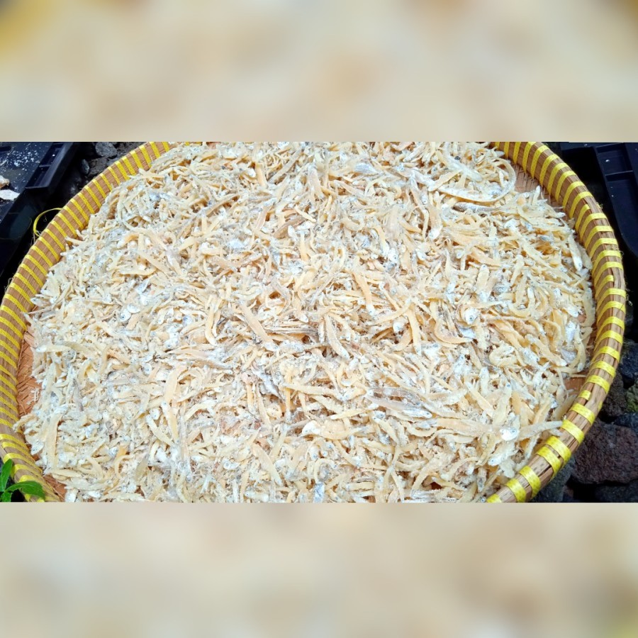 

IKAN ASIN TERI CEMEK NASI