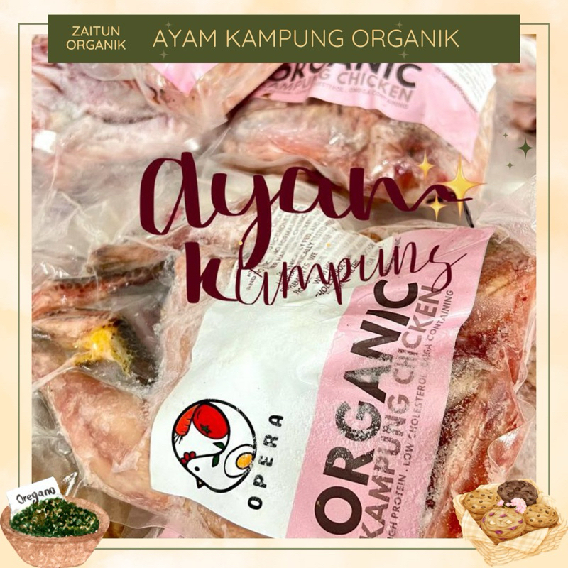 

Ayam Kampung Opera Organik