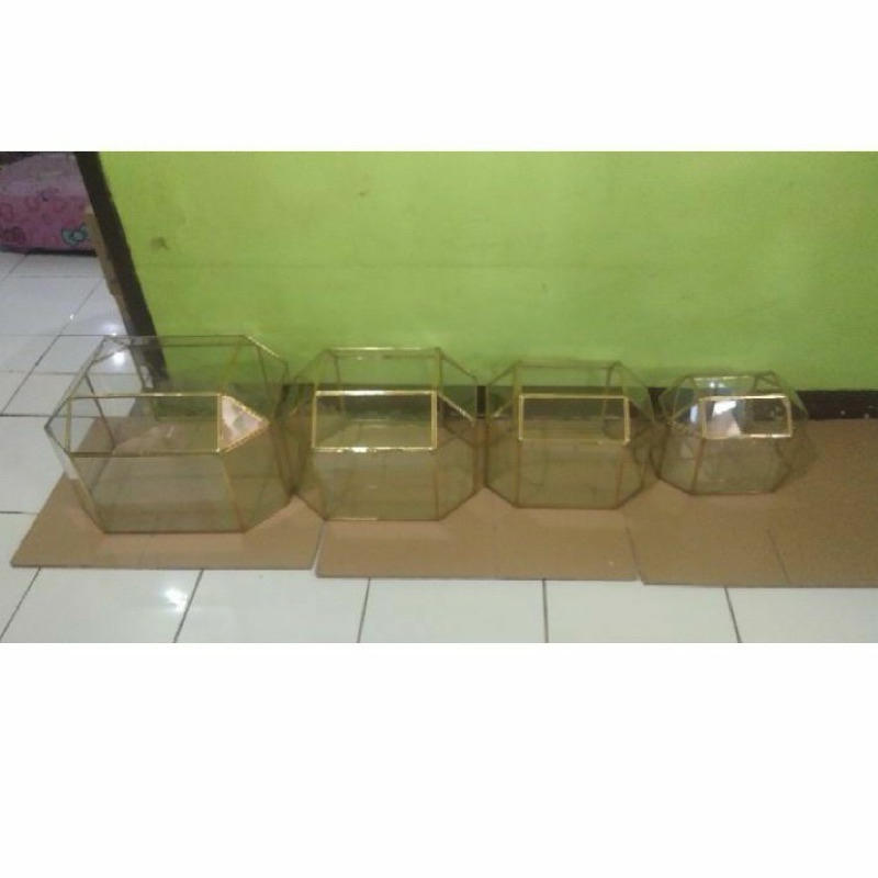 preloved box seserahan terrarium