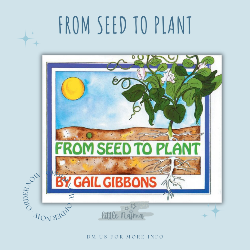 From Seed to Plant by Gail Gibbons