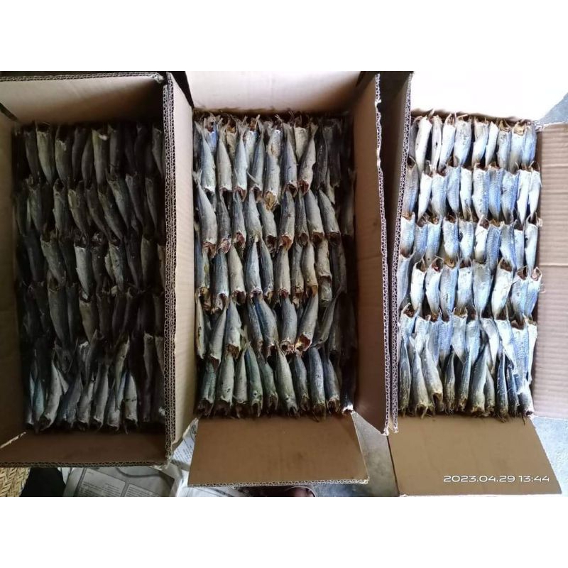 

layang tanpa kepala 1 kg