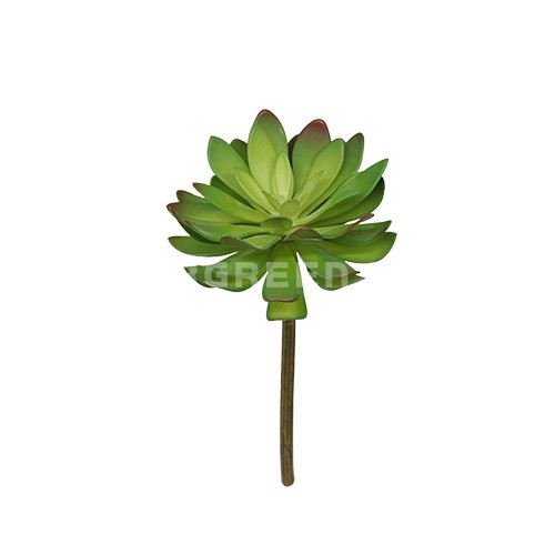 DAUN HIAS/ DAUN PALSU/ DAUN DEKORASI/ DAUN IMPORT/ HY MINI SOCCULIENT