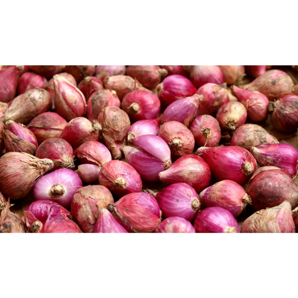 

Bawang Merah Kecil 250Gram,500Gram,1000Gram