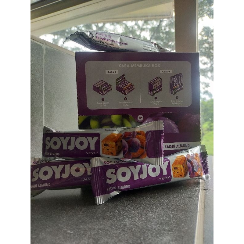 

SOYJOY RAISIN 30g per pcs