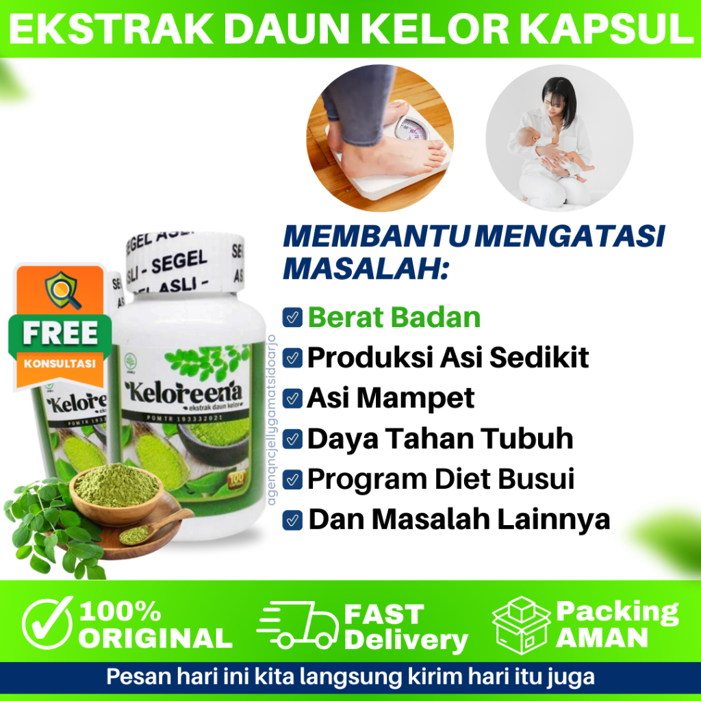 obat alami pengecil perut setelah melahirkan, penurun berat badan, diet, pelangsing busui, aman, bpo