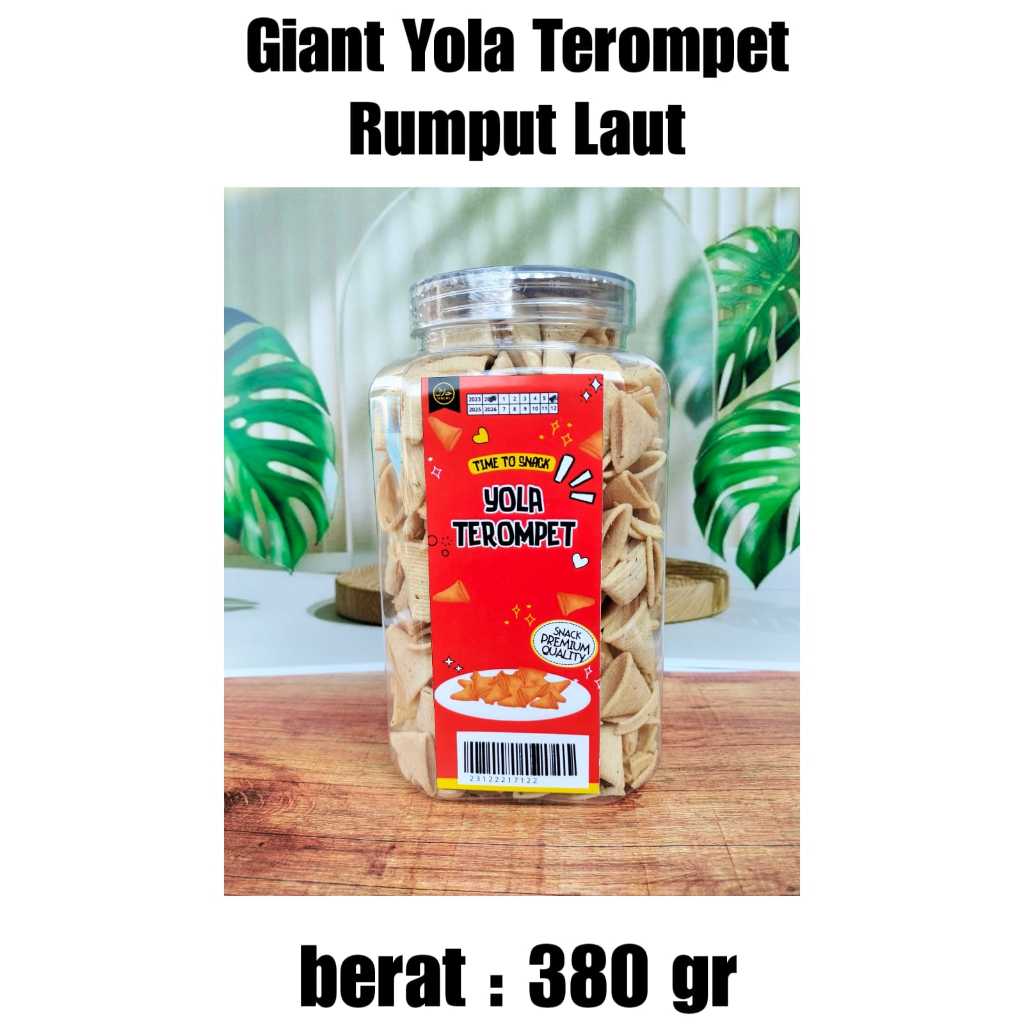 

YOLA TEROMPET RUMPUT LAUT 380 GRAM