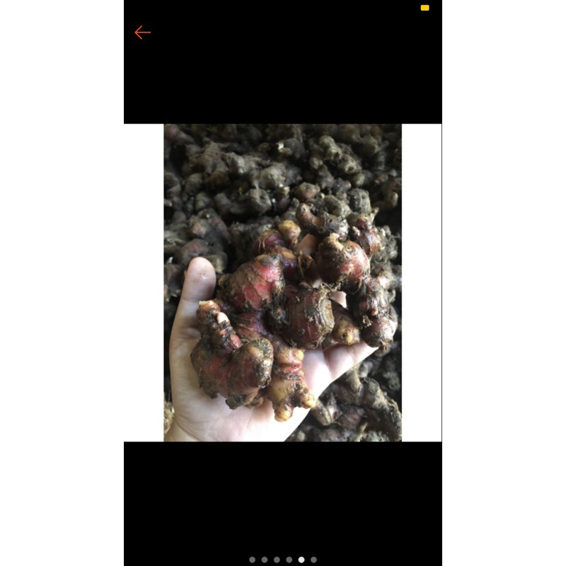 

jahe merah 500g asli 100%