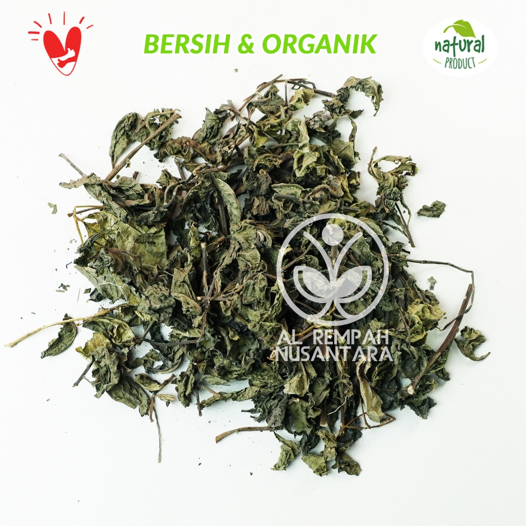 

Daun Beluntas Kering Organik 250gr Asli Hutan