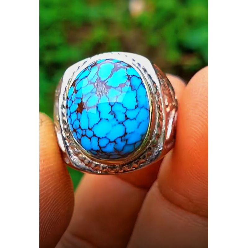 Natural Pirus Urat Merah serat jala mantap